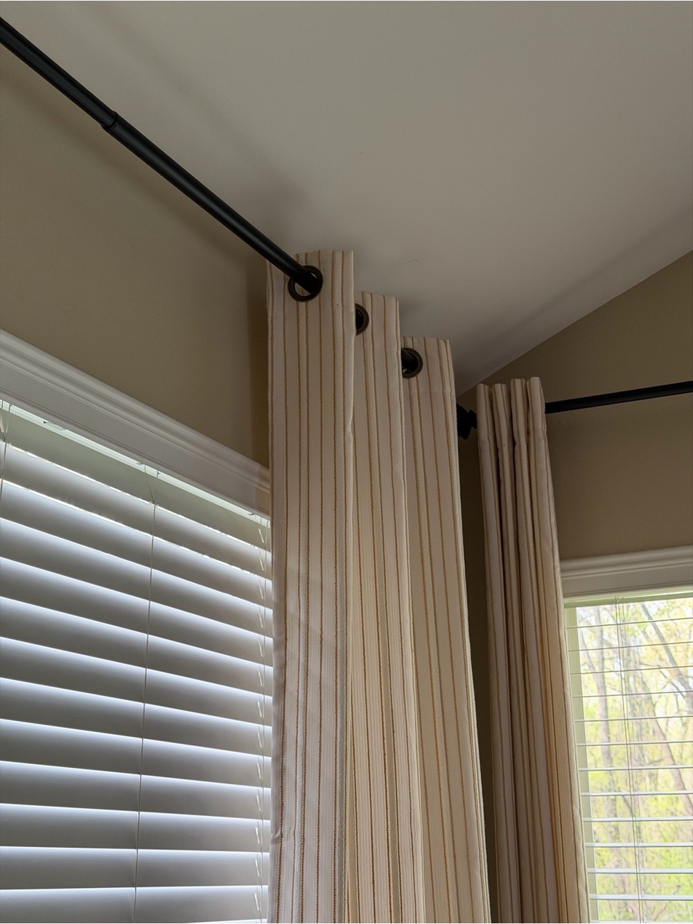 Curtains - Picture 9 of 12